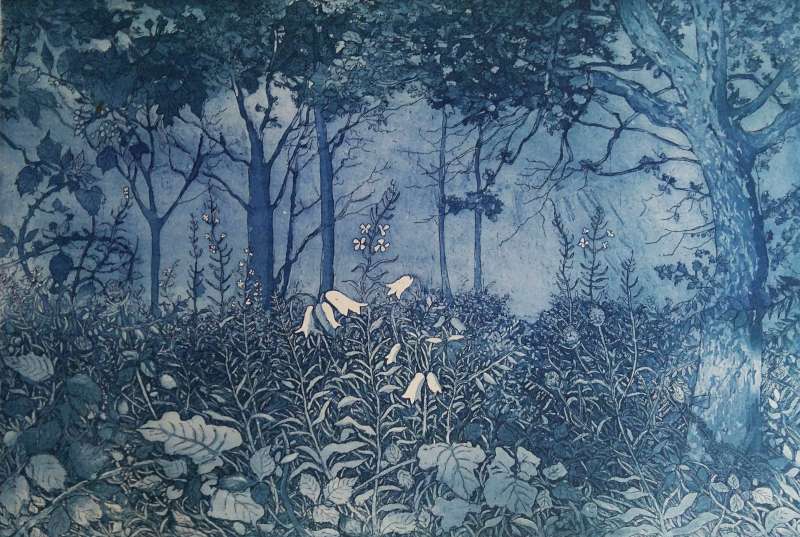 Evening Wood